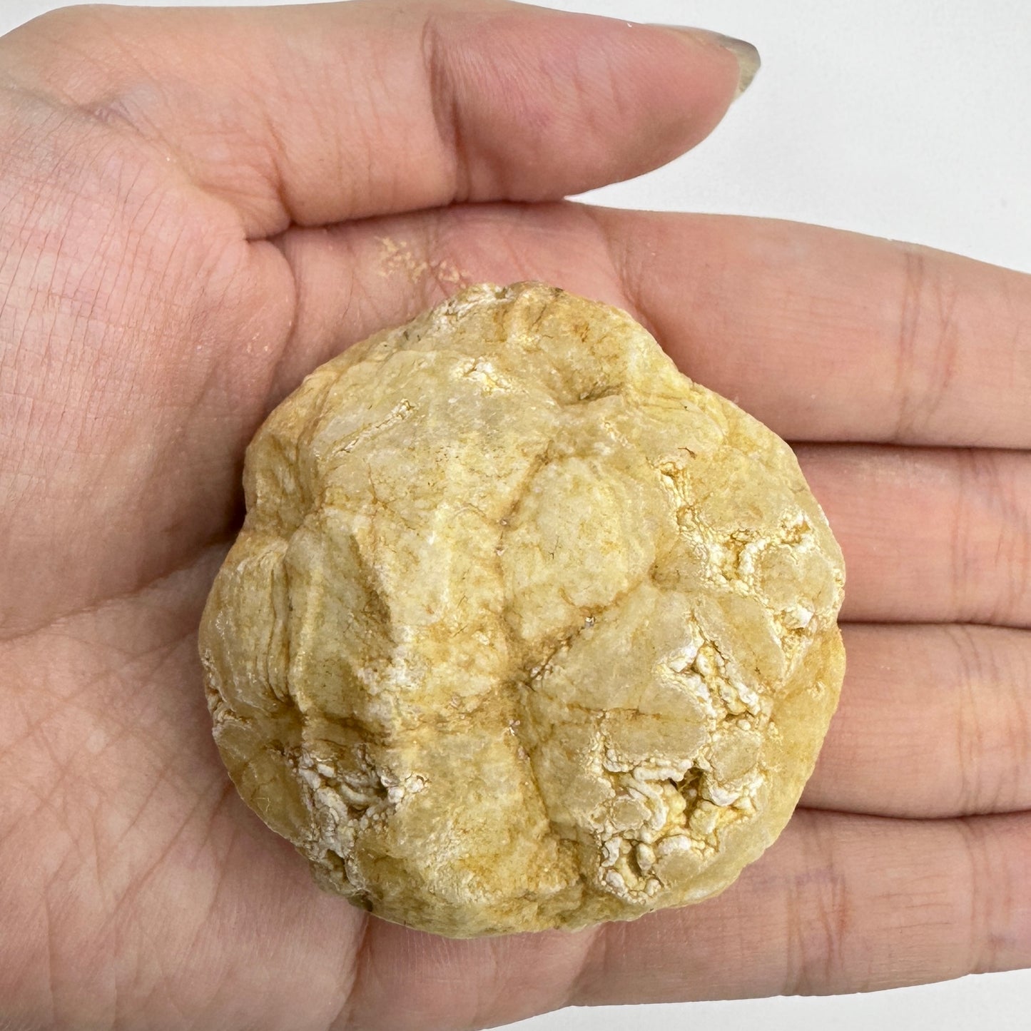 Nature Agate Geode Egg, Stunning Geode Specimen, Break Your Own Geode