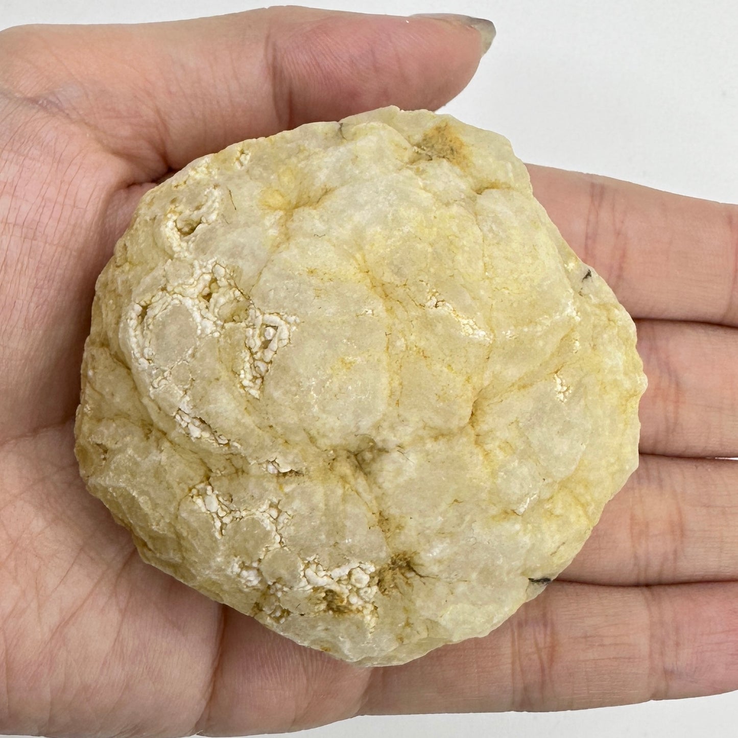 Nature Agate Geode Egg, Stunning Geode Specimen, Break Your Own Geode