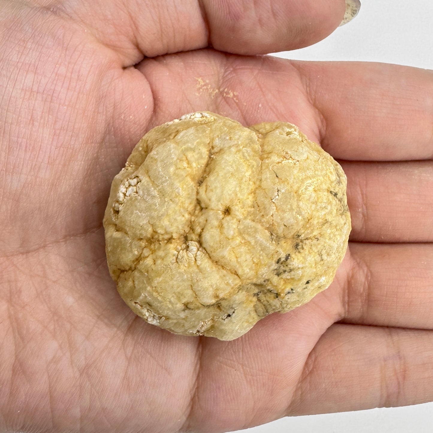 Nature Agate Geode Egg, Stunning Geode Specimen, Break Your Own Geode