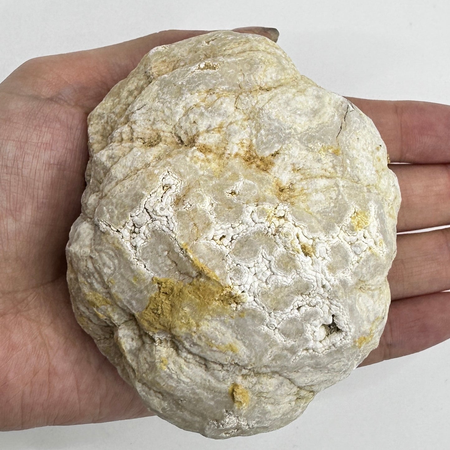 Nature Agate Geode Egg, Stunning Geode Specimen, Break Your Own Geode