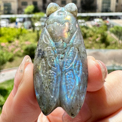 Natural Labradorite Cicada Carvings with Glow, 2 Styles, Labradorite Animal Sculptures, Cicada Sculptures, Insect Carvings