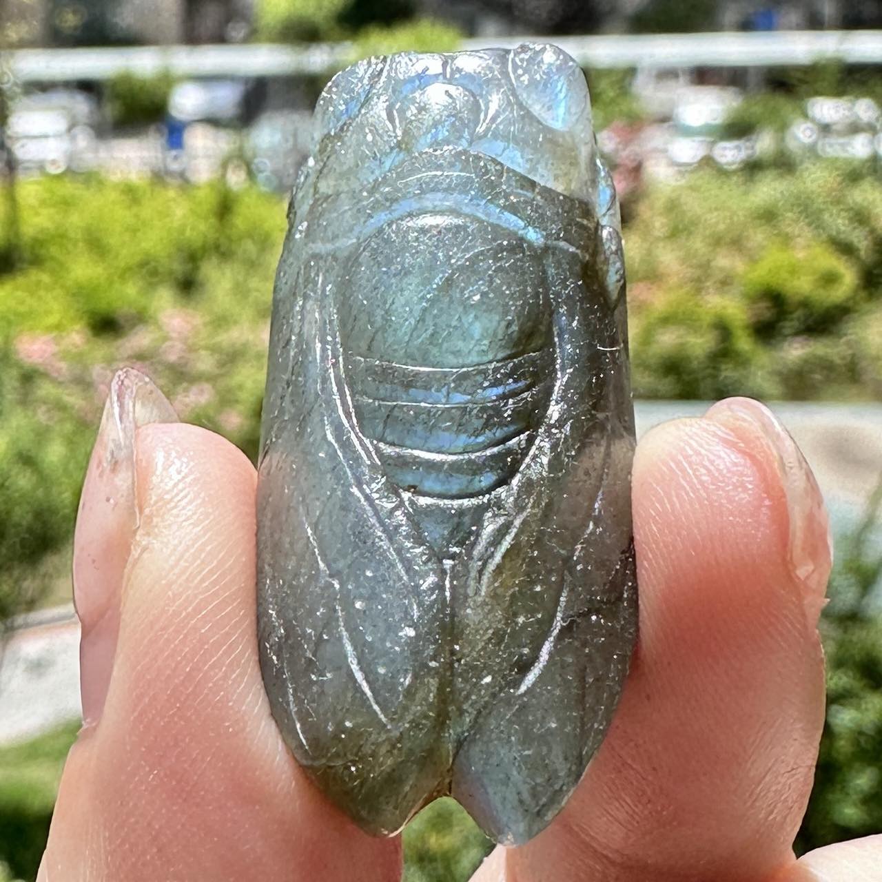 Natural Labradorite Cicada Carvings with Glow, 2 Styles, Labradorite Animal Sculptures, Cicada Sculptures, Insect Carvings