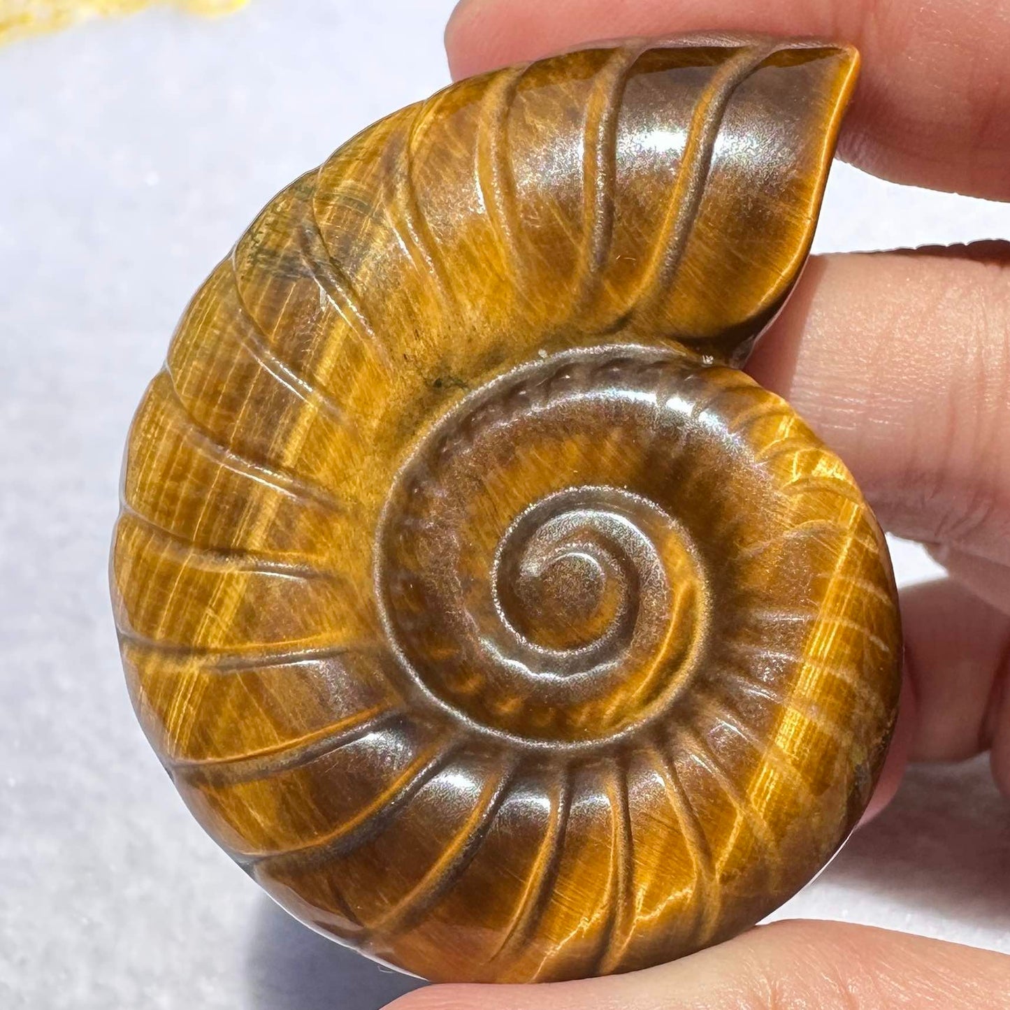 High-quality Tiger's Eye Conch Carving, Natural Tiger Eye Animal Carvings, Conch Sculpture