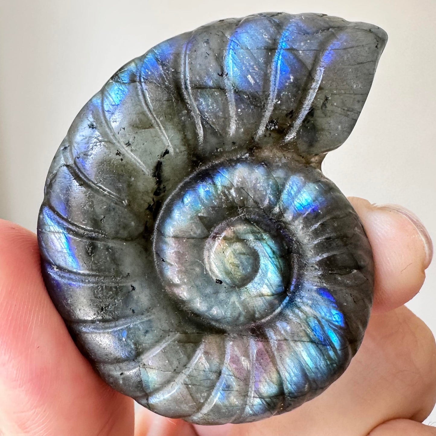 Natural Labradorite Conch Carvings with Glow, Labradorite Animal Sculptures, Conch Sculptures