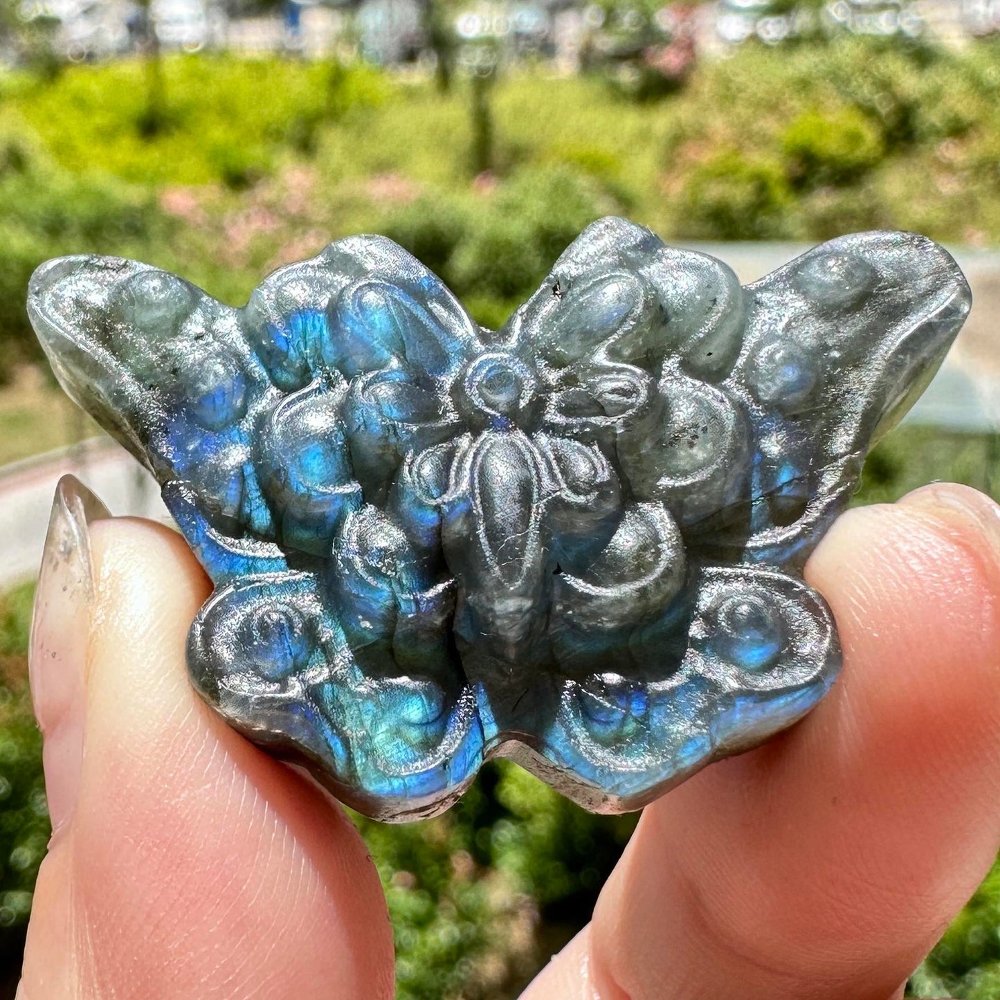 Natural Labradorite Butterfly Carvings with Glow, 2 Styles, Labradorite Animal Sculptures, Butterfly Sculptures