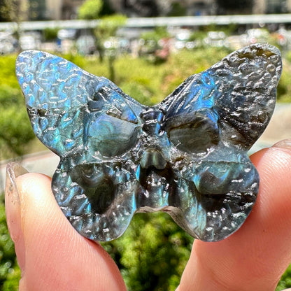 Natural Labradorite Butterfly Carvings with Glow, 2 Styles, Labradorite Animal Sculptures, Butterfly Sculptures