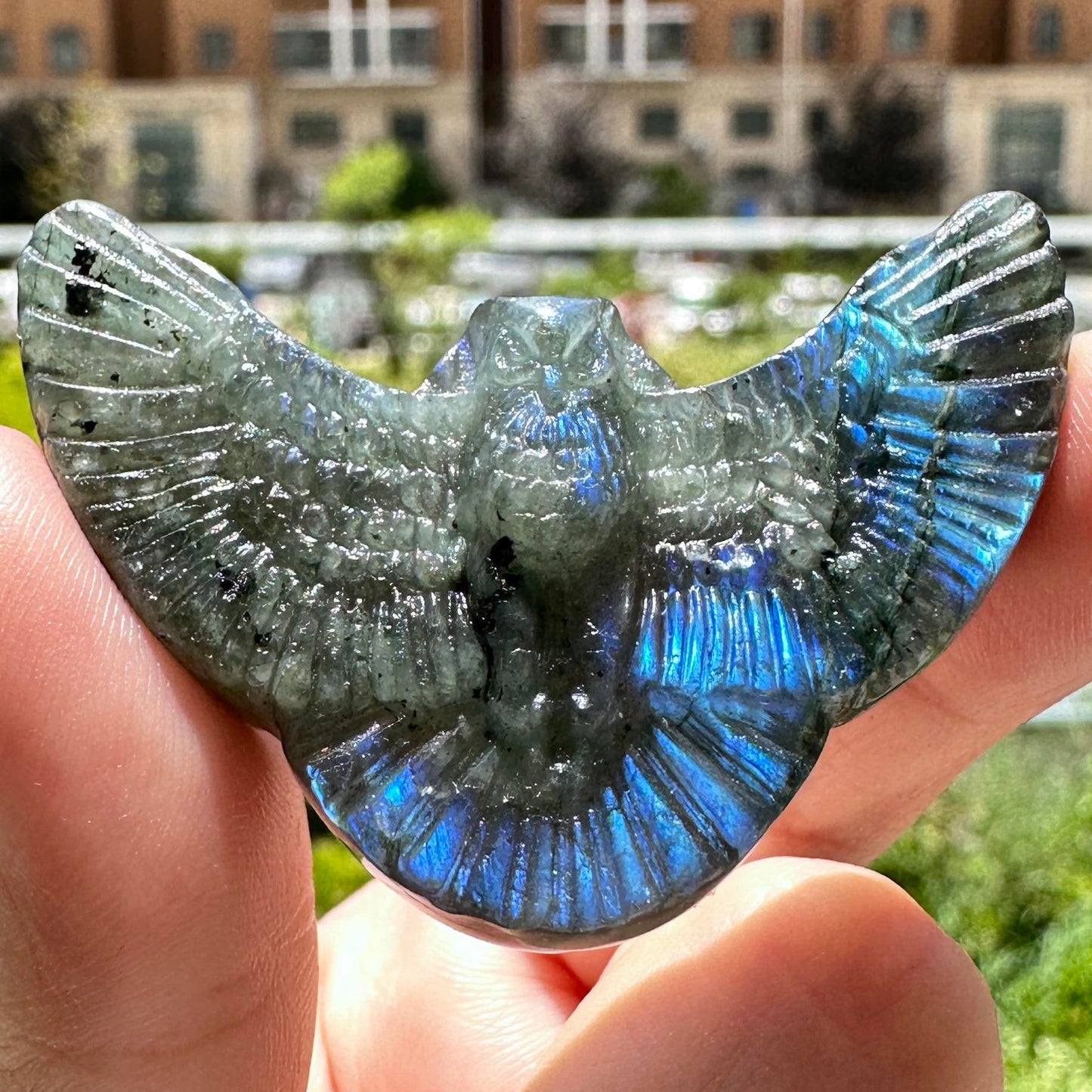 Natural Labradorite Owl Carvings with Glow, 3 Styles Labradorite Sculptures, Owl Sculptures