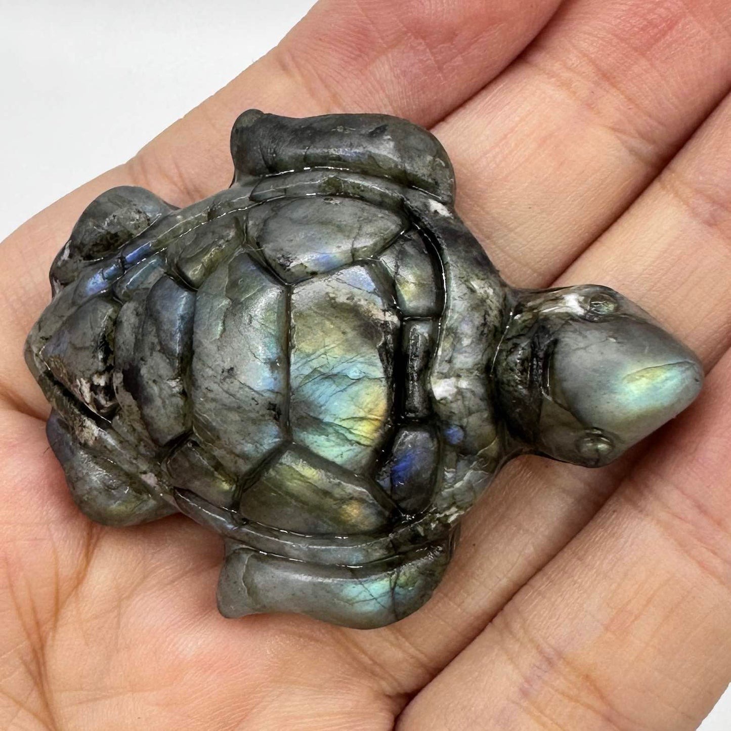 Natural Labradorite Turtle Carvings with Glow, Labradorite Animal Sculptures, Turtle Sculptures