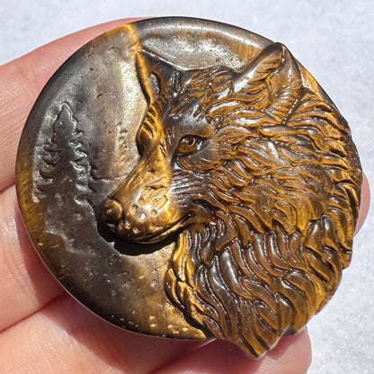 High-quality Tiger's Eye Wolf Carving, 2 Styles Natural Tiger Eye Animal Carvings, Wolf Sculpture