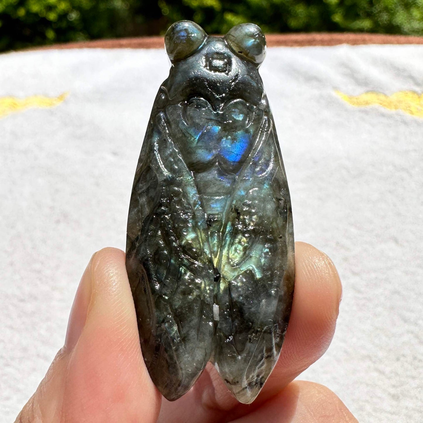 Natural Labradorite Cicada Carvings with Glow, 2 Styles, Labradorite Animal Sculptures, Cicada Sculptures, Insect Carvings