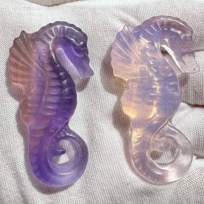 Natural Rainbow Fluorite Seahorse Carving, Colorful Fluorite Seahorse Figurine, Crystal Carving