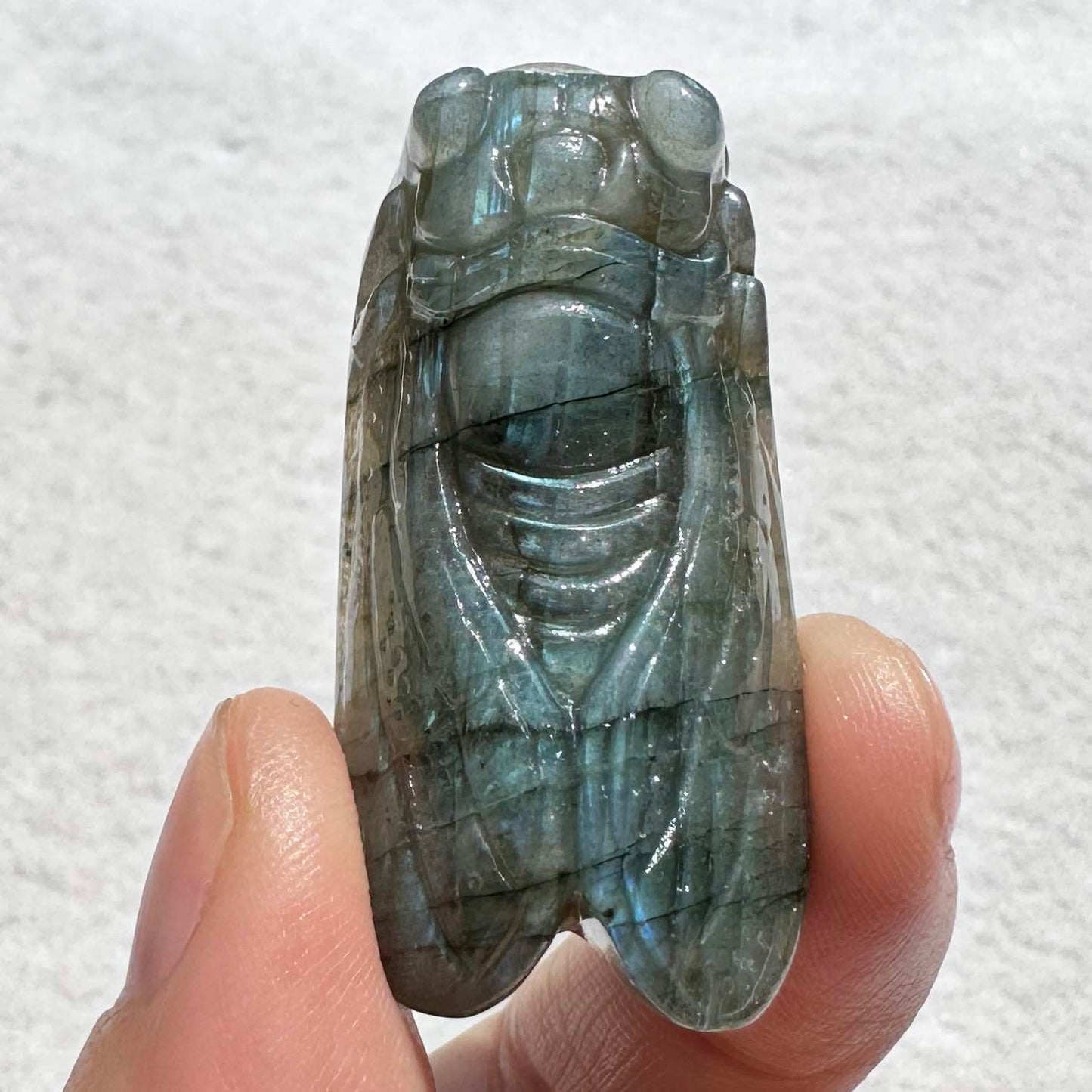 Natural Labradorite Cicada Carvings with Glow, 2 Styles, Labradorite Animal Sculptures, Cicada Sculptures, Insect Carvings