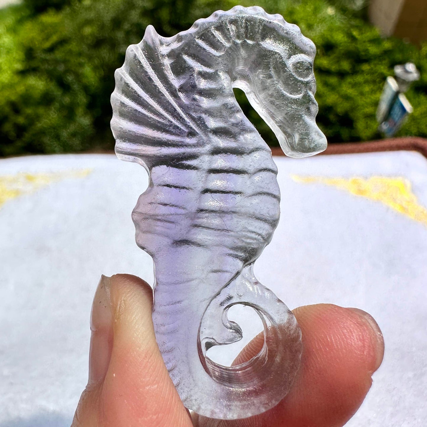 Natural Rainbow Fluorite Seahorse Carving, Colorful Fluorite Seahorse Figurine, Crystal Carving