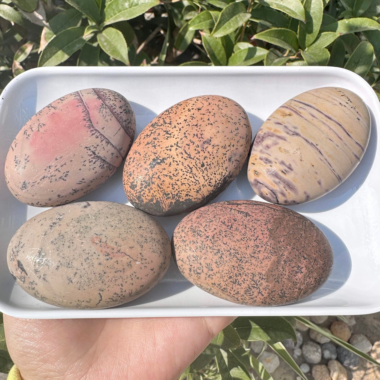 Natural Grass Flower Stone Palm Stone with Artistic Patterns, 5.8-6.2cm/2.28-2.44in Guohua Stone, Natural Handheld Worry Stone & Palm Relaxer