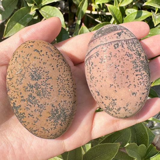 Natural Grass Flower Stone Palm Stone with Artistic Patterns, 5.8-6.2cm/2.28-2.44in Guohua Stone, Natural Handheld Worry Stone & Palm Relaxer