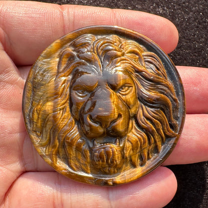 High-quality Tiger's Eye Lion Carving, 2 Styles Natural Tiger Eye Animal Carvings, Lion Sculpture