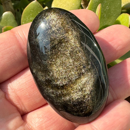 Natural Golden Obsidian Oval Shape Palm Stones, 5-5.2cm/1.97-2.05in Shimmering Gold Obsidian, Gold Sheen Obsidian