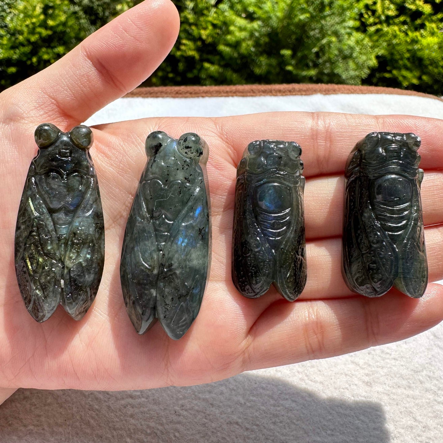 Natural Labradorite Cicada Carvings with Glow, 2 Styles, Labradorite Animal Sculptures, Cicada Sculptures, Insect Carvings