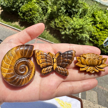 High-quality Tiger's Eye Conch Carving, Natural Tiger Eye Animal Carvings, Conch Sculpture