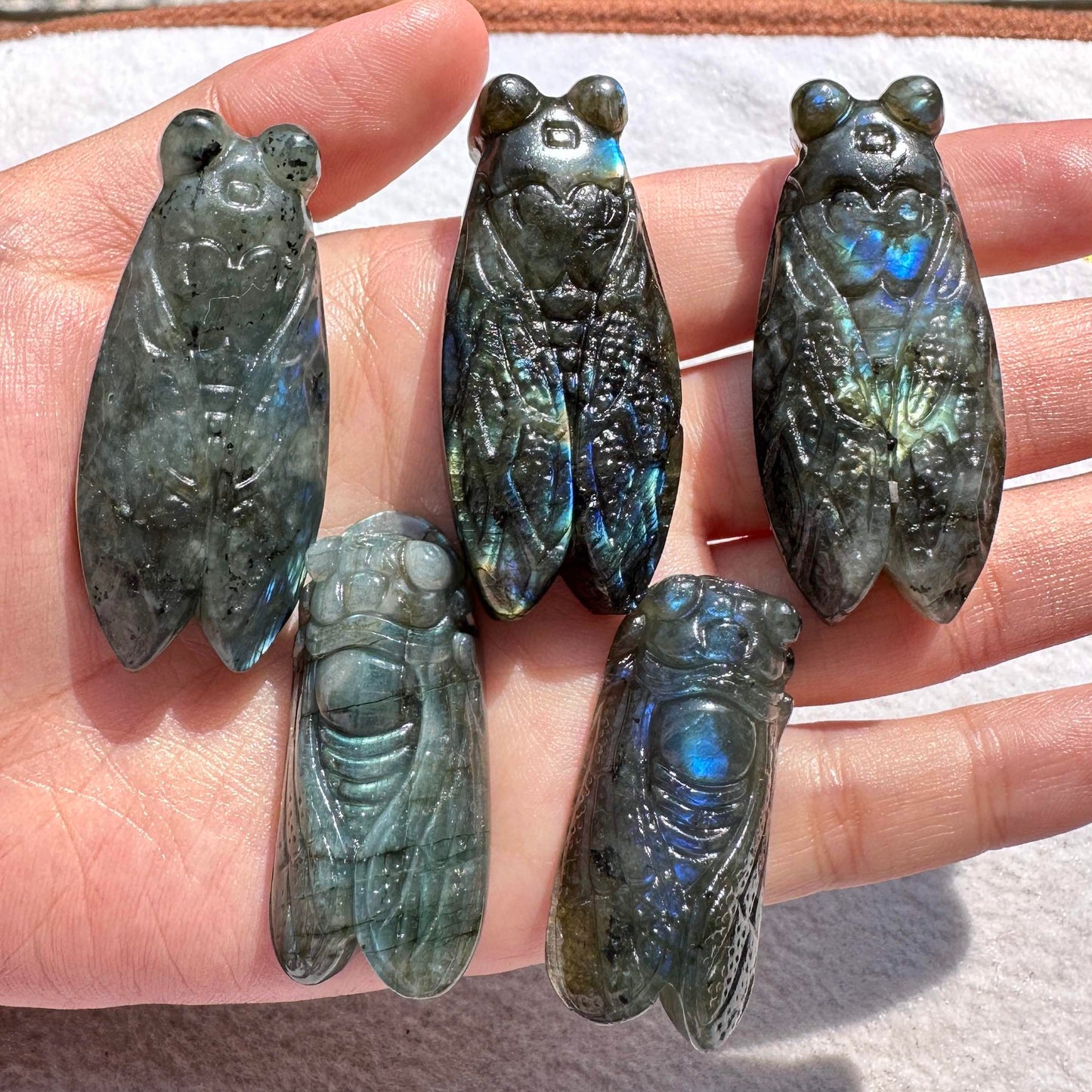 Natural Labradorite Cicada Carvings with Glow, 2 Styles, Labradorite Animal Sculptures, Cicada Sculptures, Insect Carvings