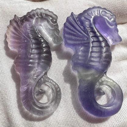 Natural Rainbow Fluorite Seahorse Carving, Colorful Fluorite Seahorse Figurine, Crystal Carving