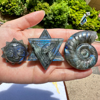 Natural Labradorite Conch Carvings with Glow, Labradorite Animal Sculptures, Conch Sculptures