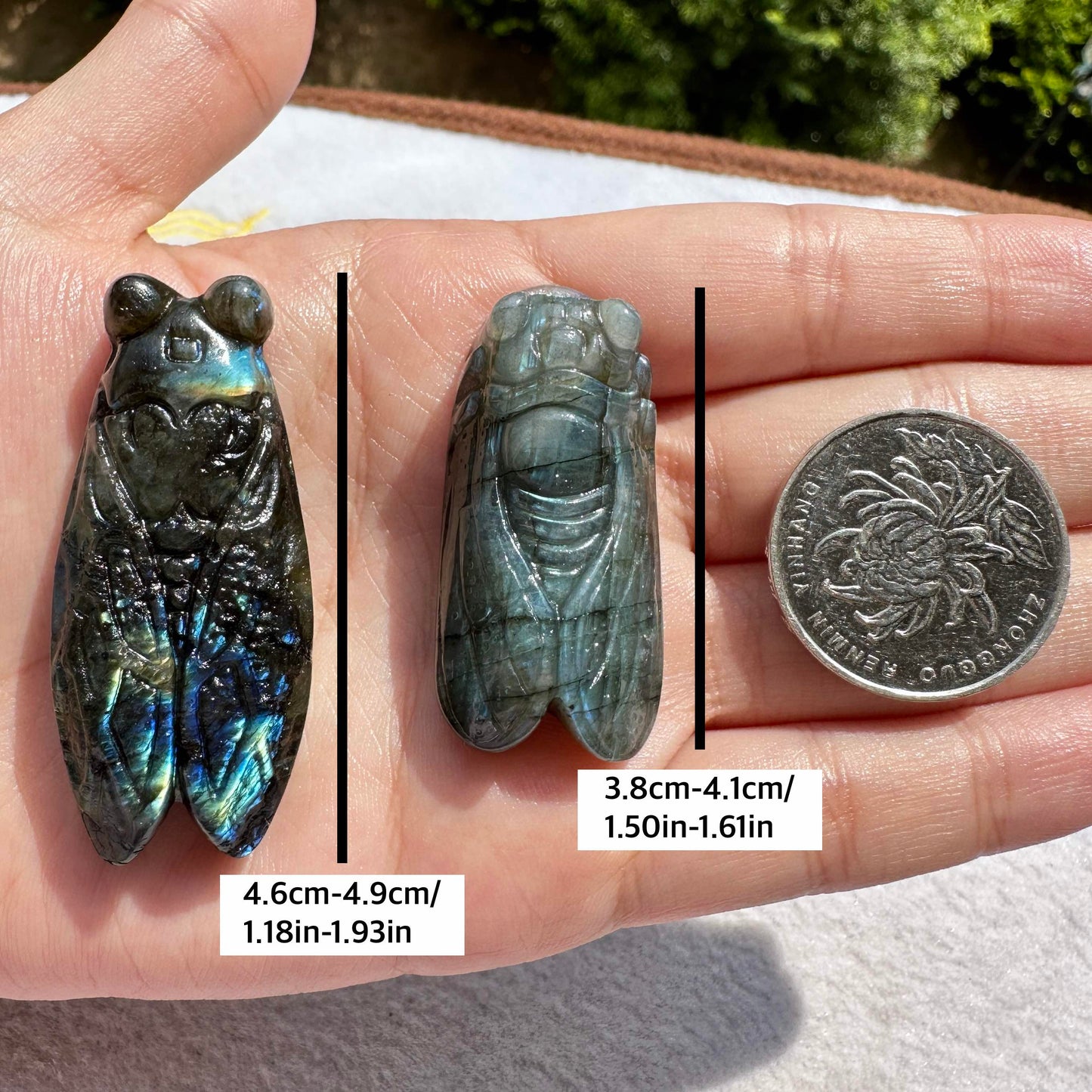 Natural Labradorite Cicada Carvings with Glow, 2 Styles, Labradorite Animal Sculptures, Cicada Sculptures, Insect Carvings