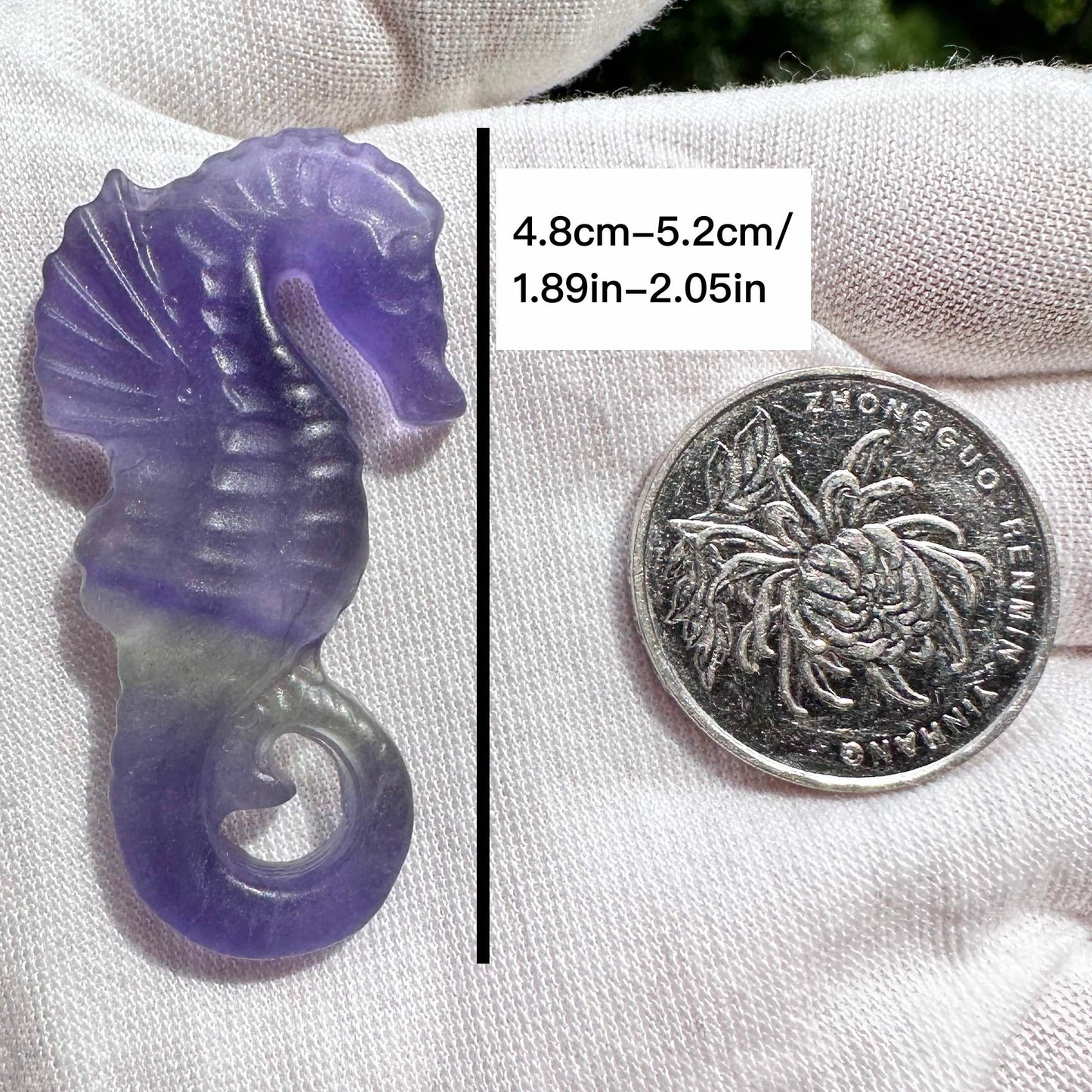 Natural Rainbow Fluorite Seahorse Carving, Colorful Fluorite Seahorse Figurine, Crystal Carving