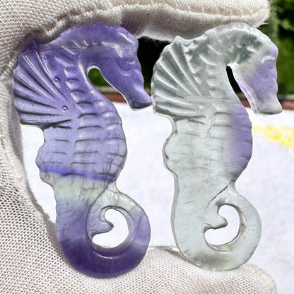 Natural Rainbow Fluorite Seahorse Carving, Colorful Fluorite Seahorse Figurine, Crystal Carving